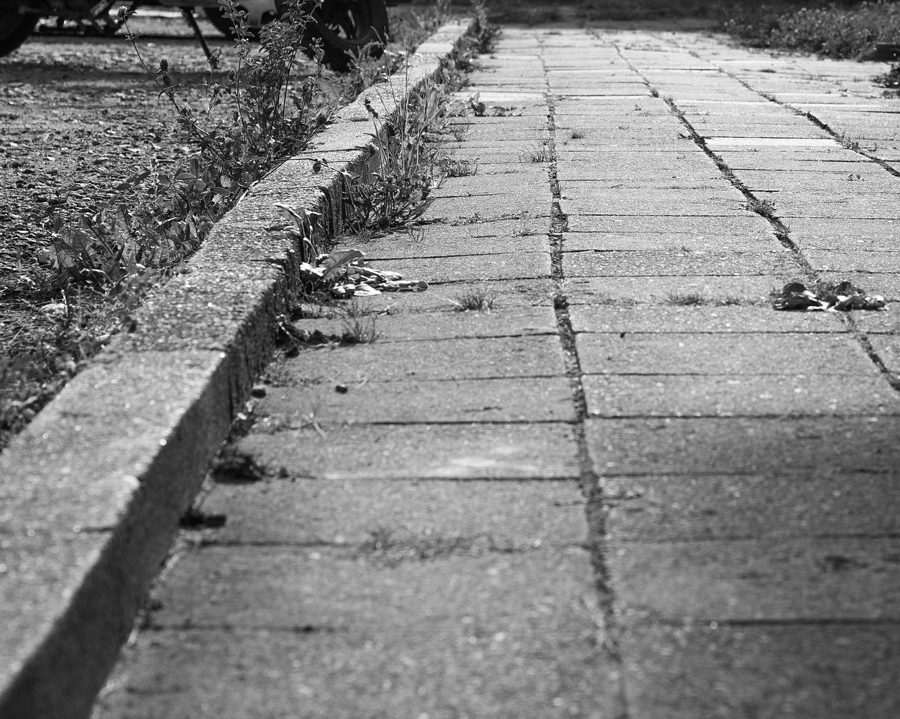 pavement path walking free photo