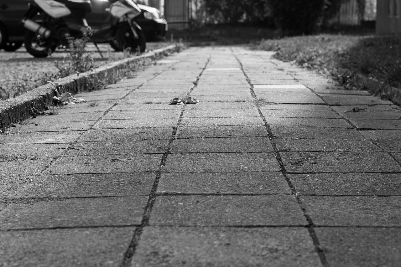 pavement path walking free photo
