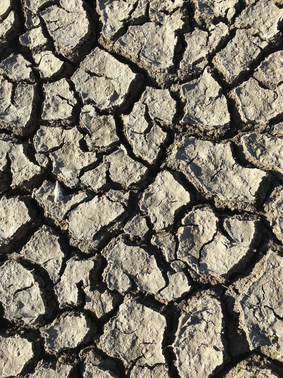 pavement mud desert free photo