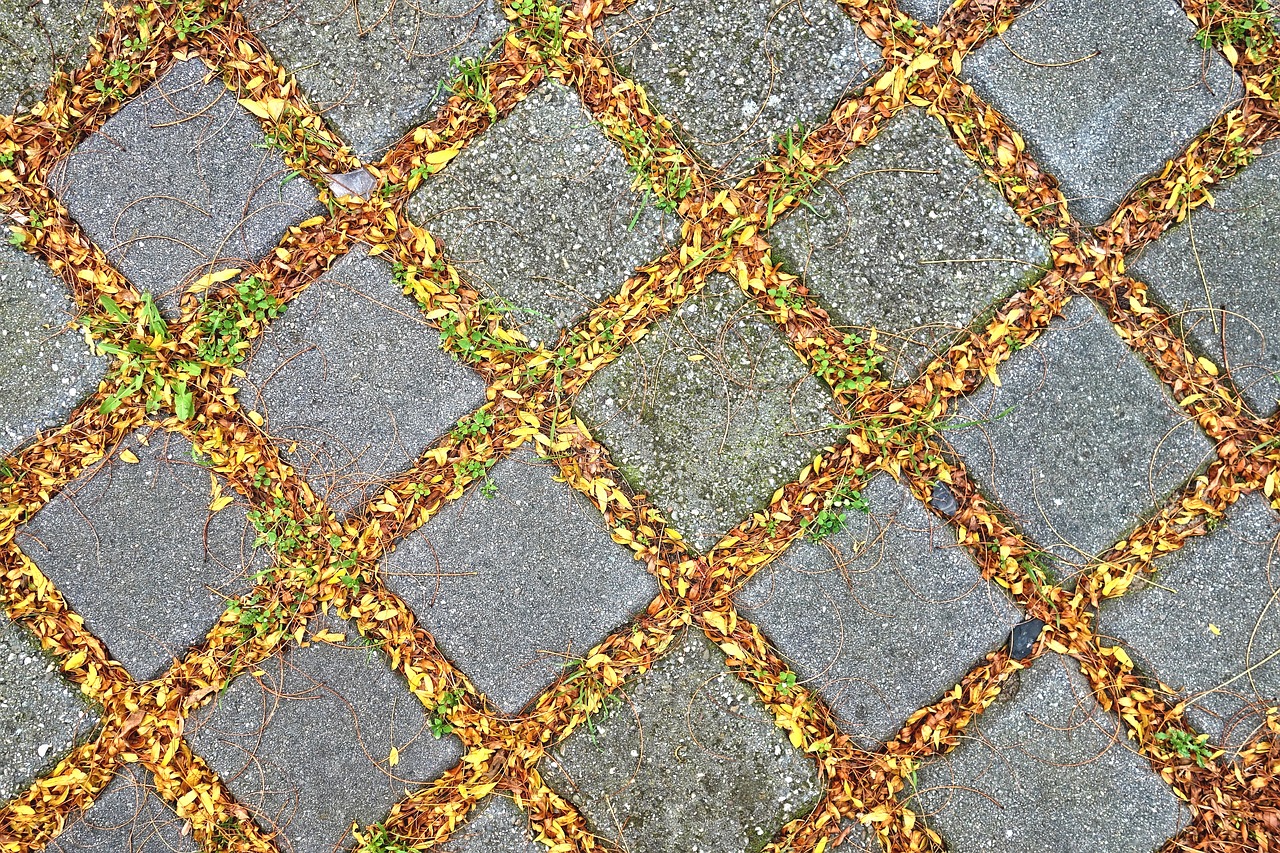 pavement tile stone free photo