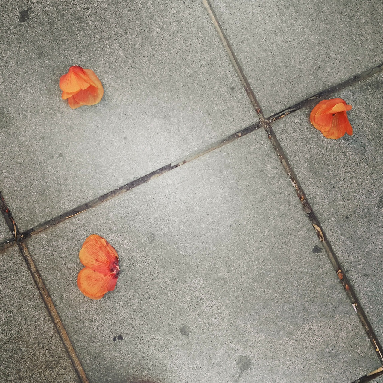 pavement tiles autumn free photo