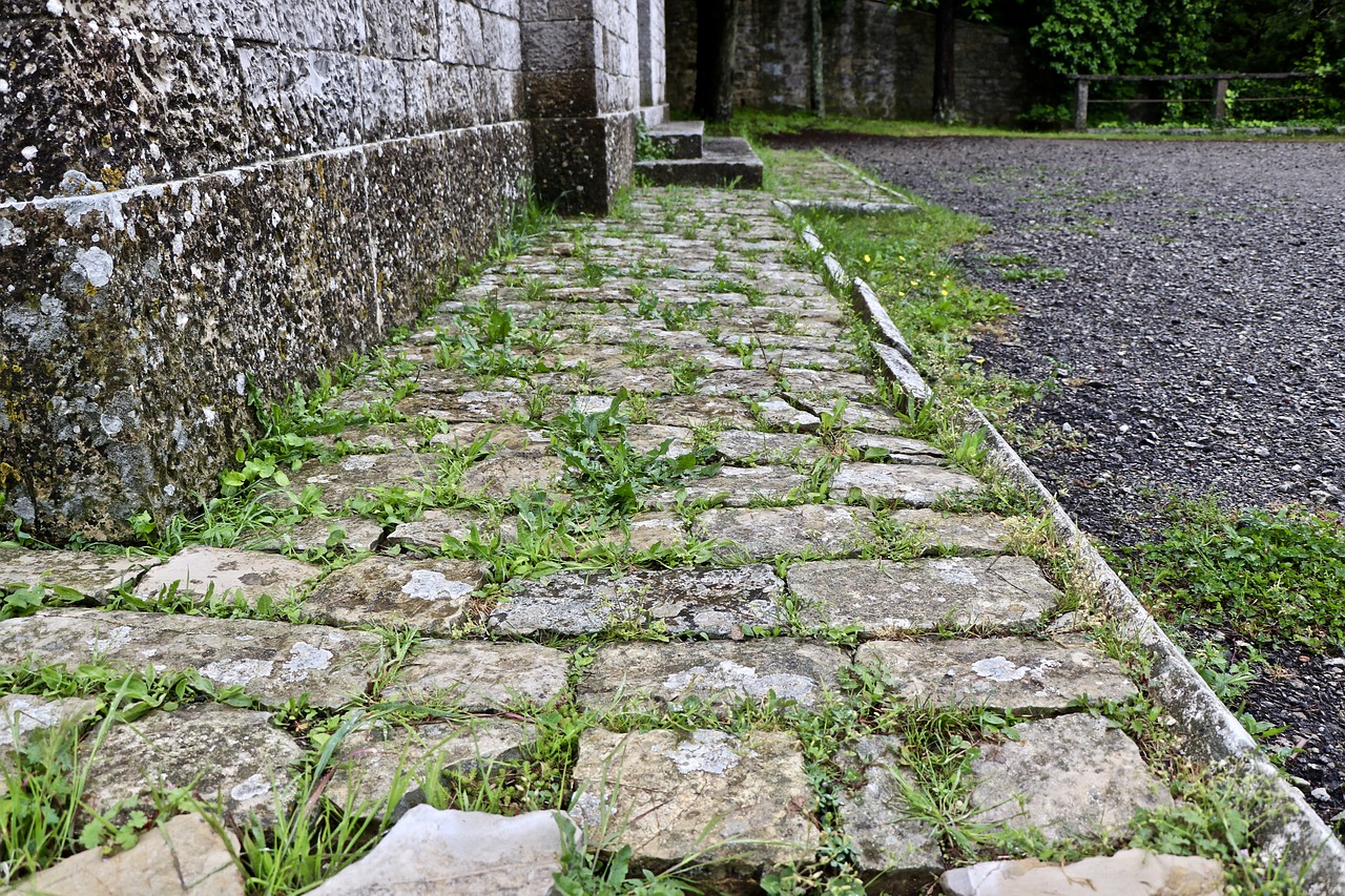 pavement  ancient  old free photo