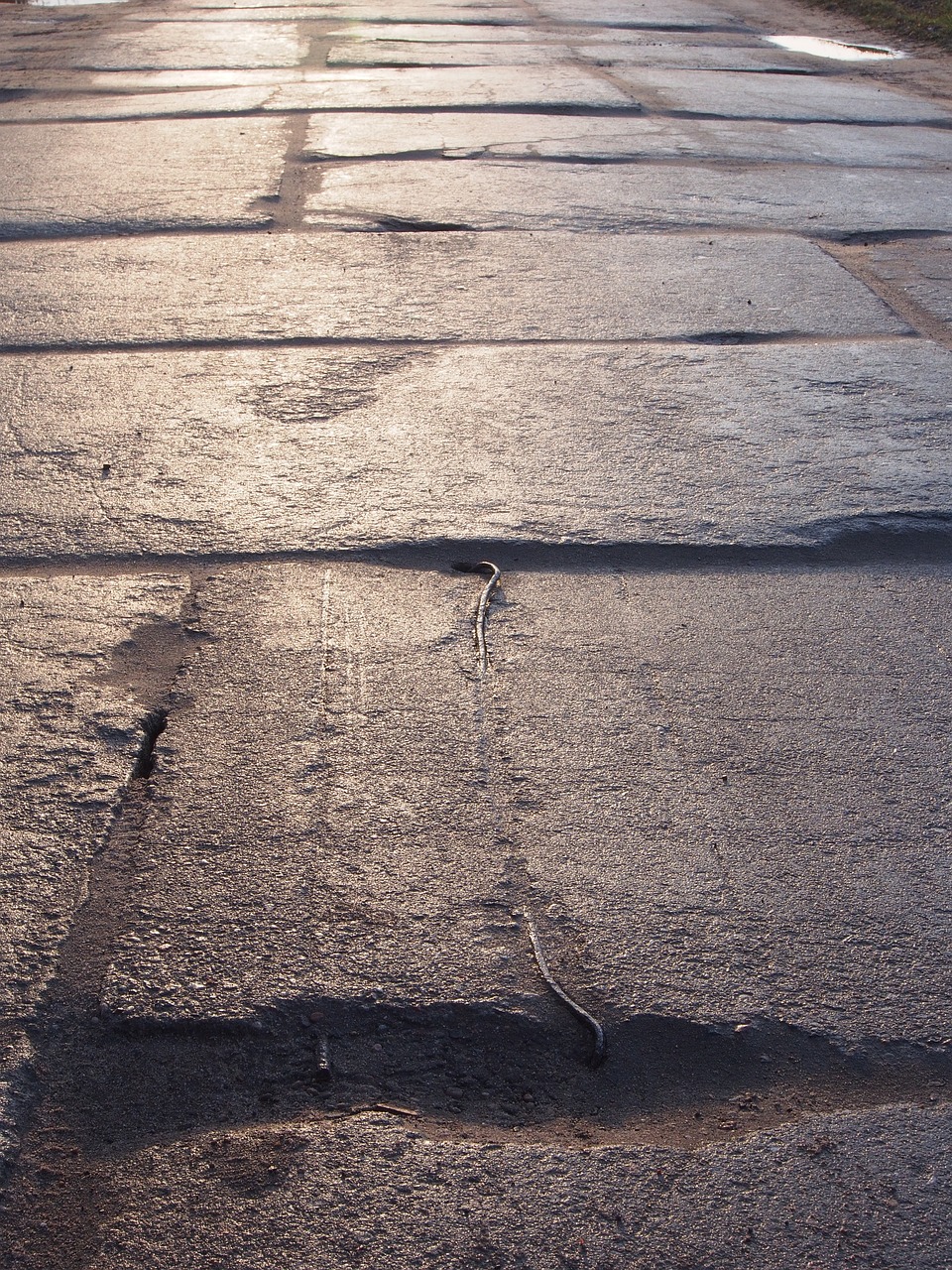 pavement  street  stone free photo