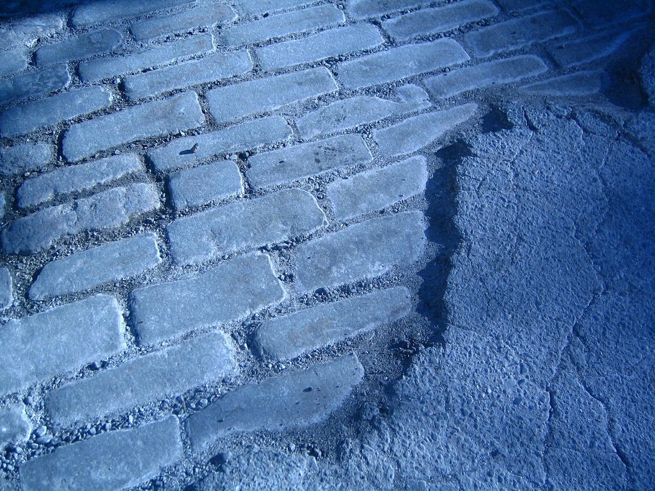 pavement brick brick road free photo