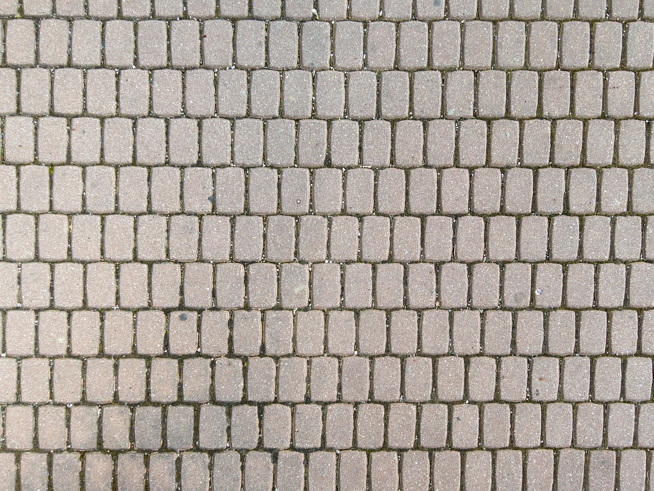 pavement stone texture free photo