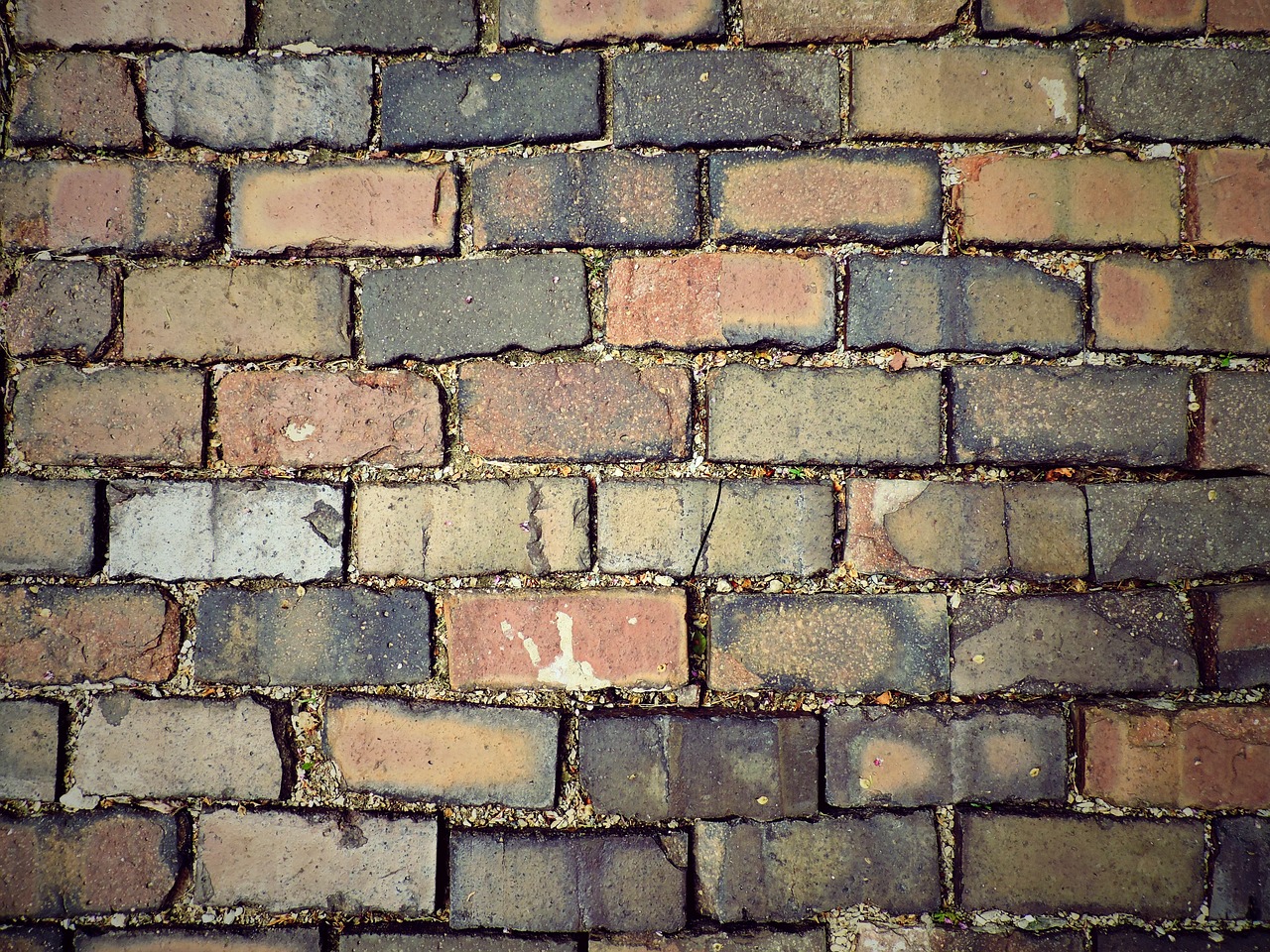 paver path bricks free photo