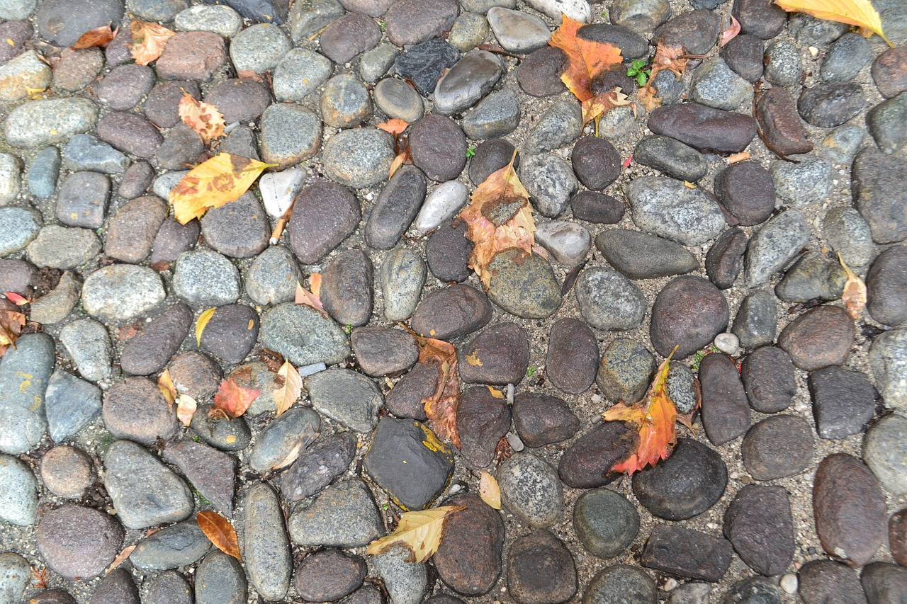 pavers fall leaves free photo