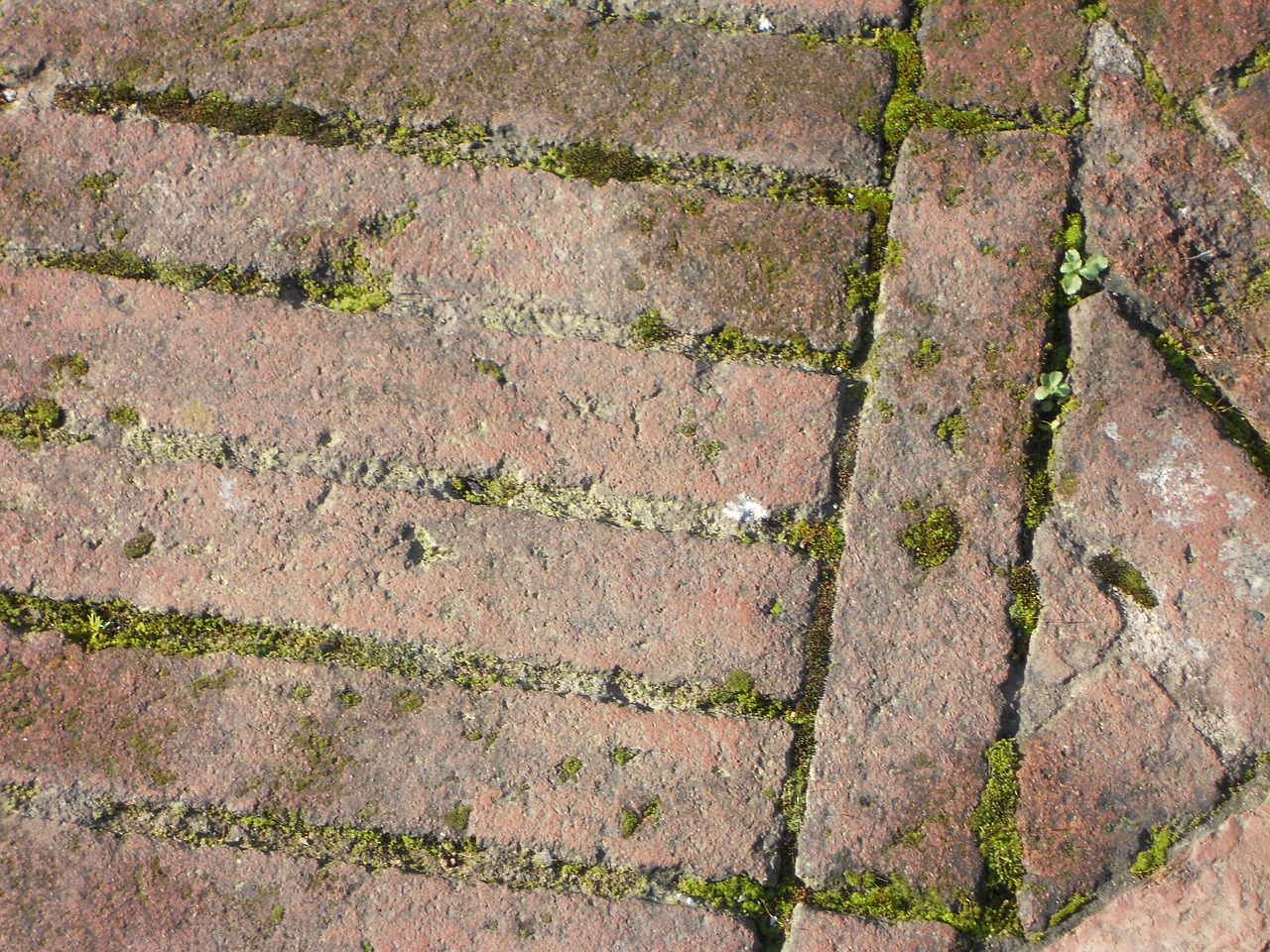 paving stone stone ground free photo