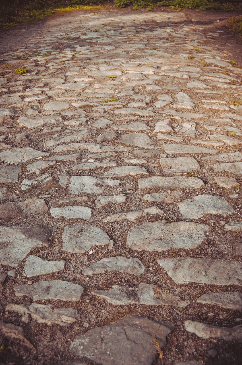 paving stone  paving  paved road free photo