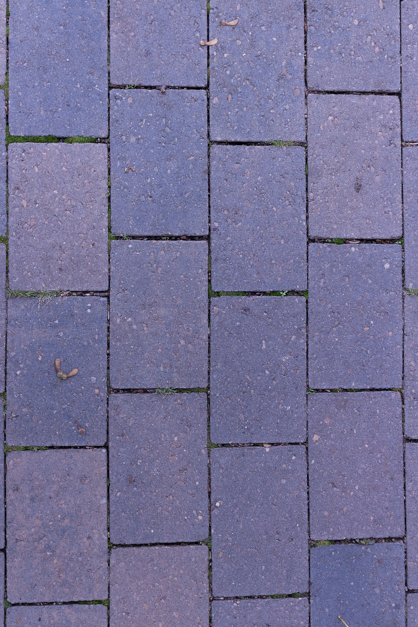 paving stones joints structure free photo