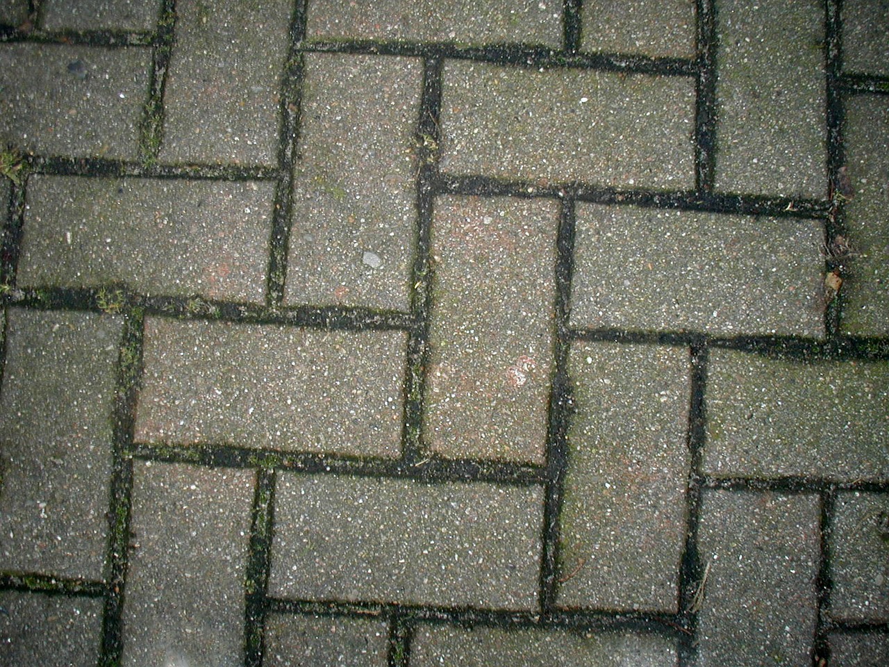 paving stones paved stones free photo