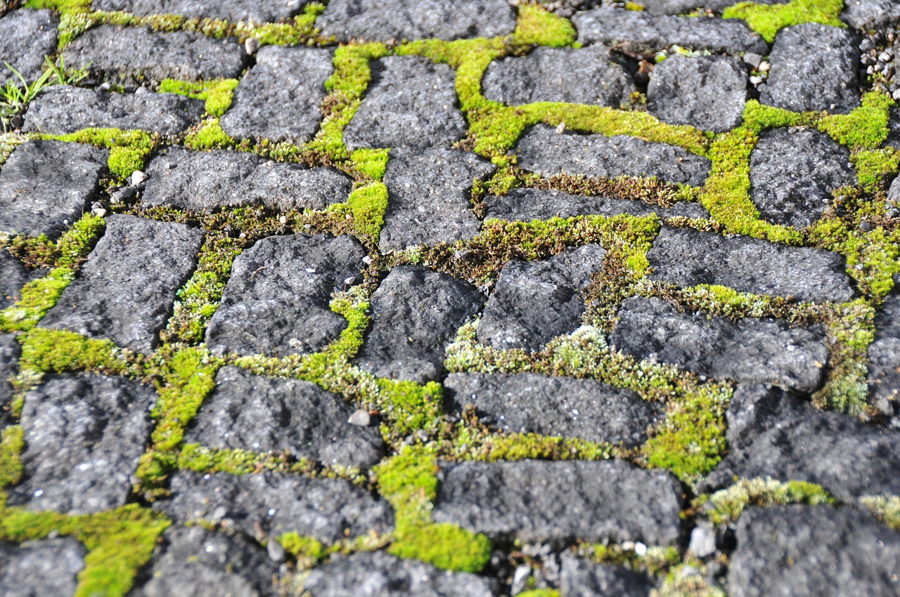 paving stones moss stone free photo