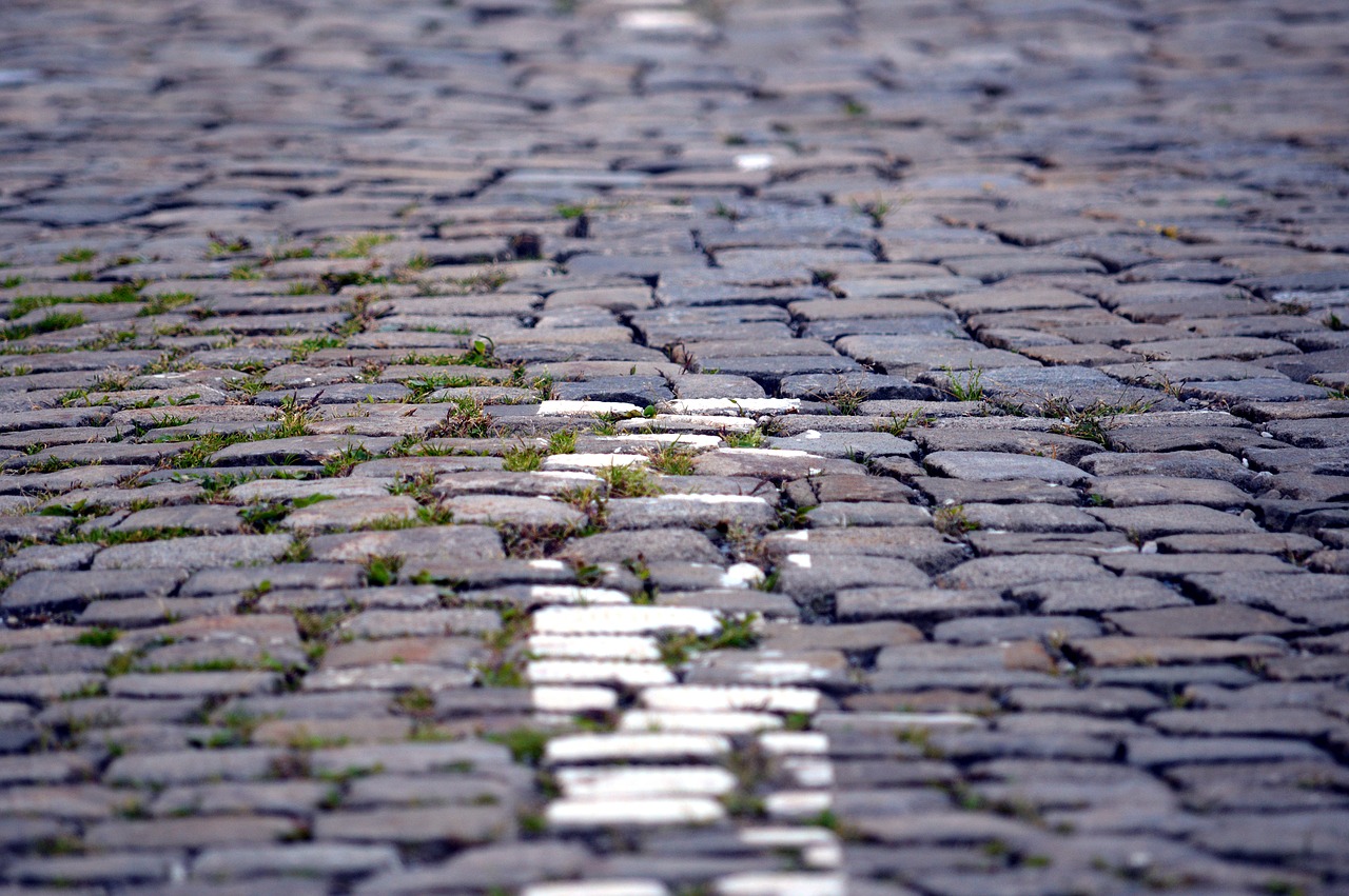 paving stones  grass  road free photo