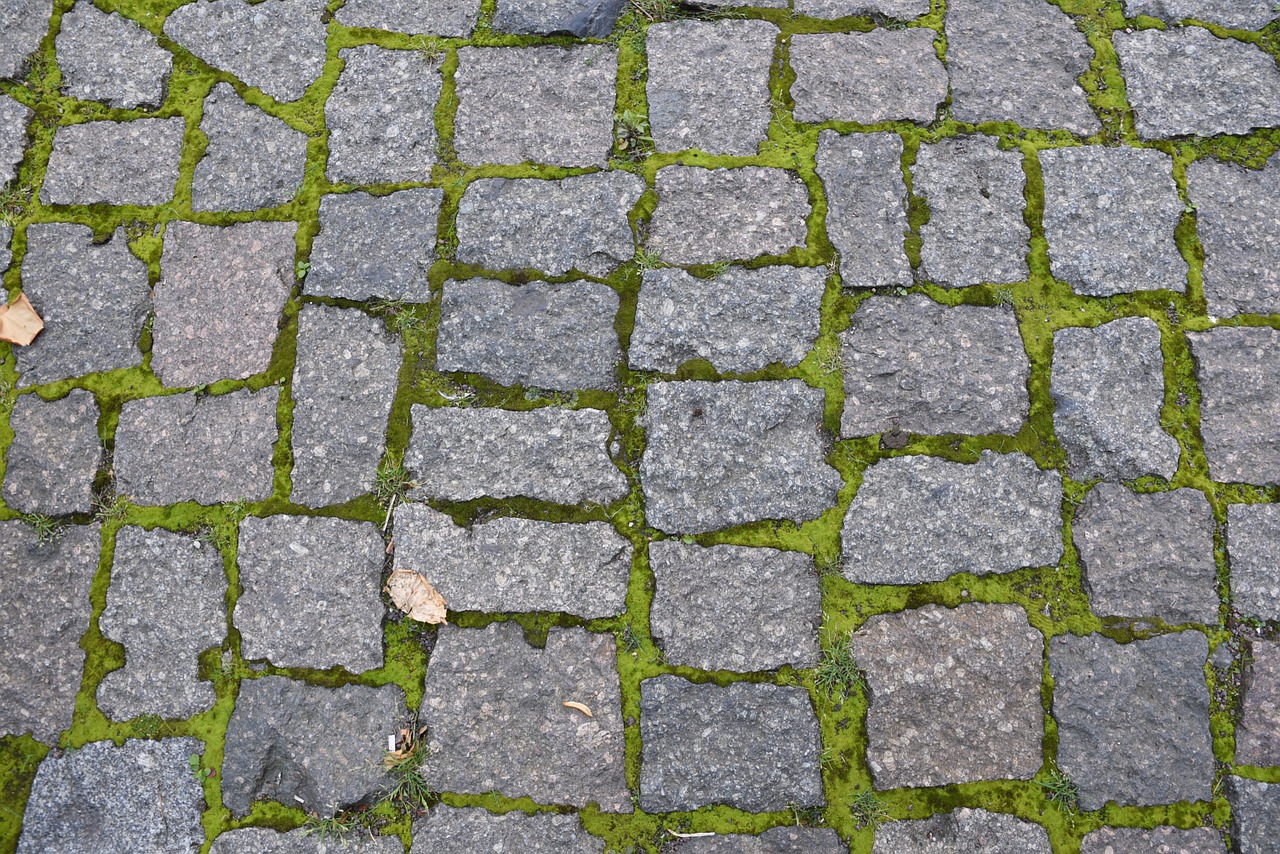 paving stones grass moss free photo