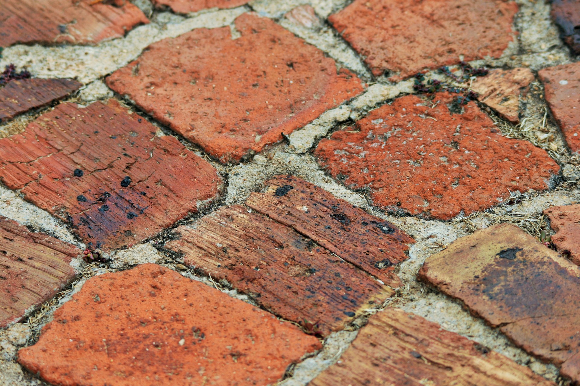 paving brick red free photo