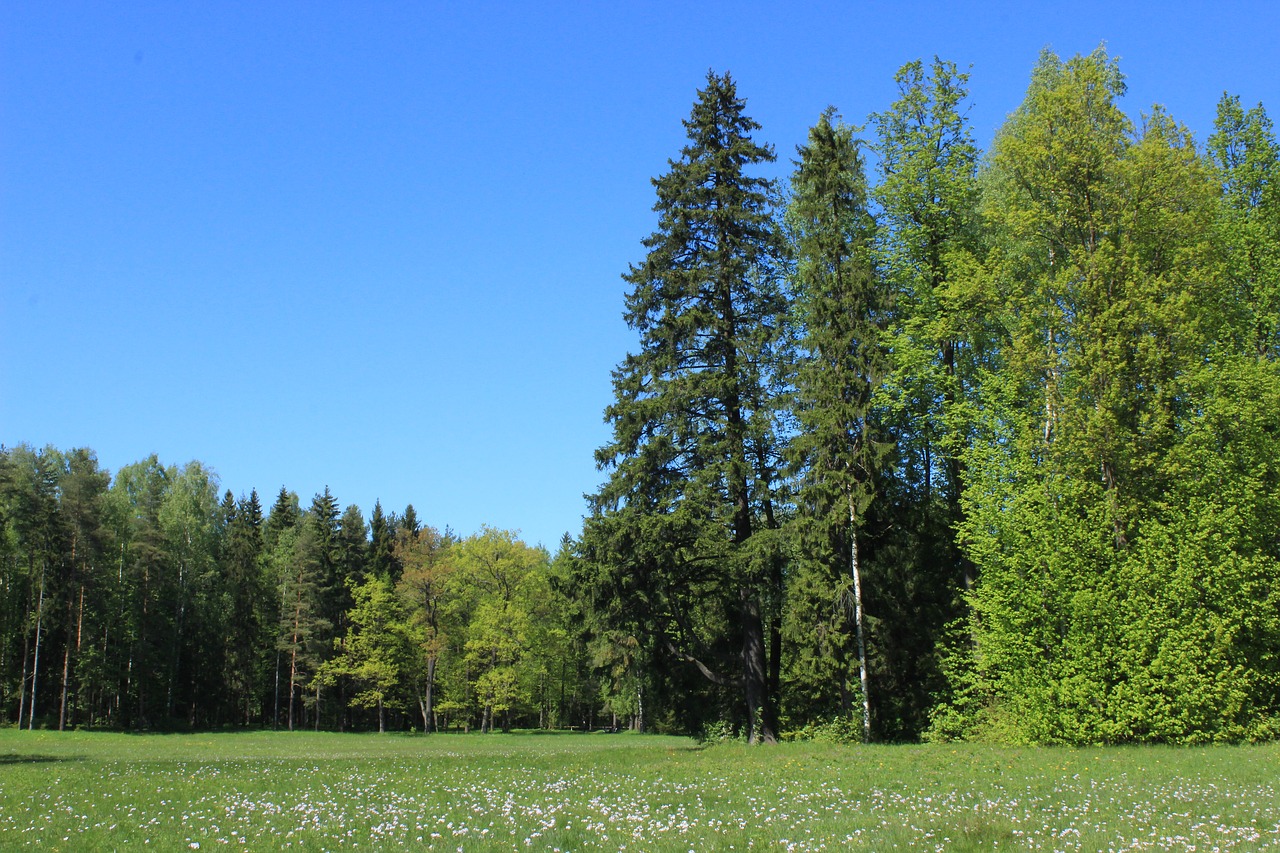 pavlovsk russia day free photo