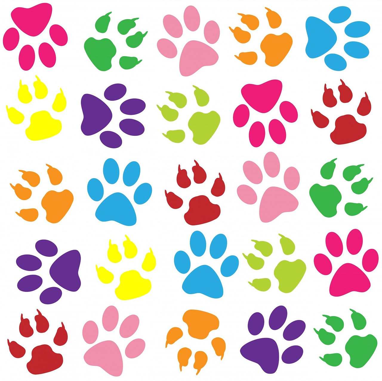 paw print paw prints background free photo