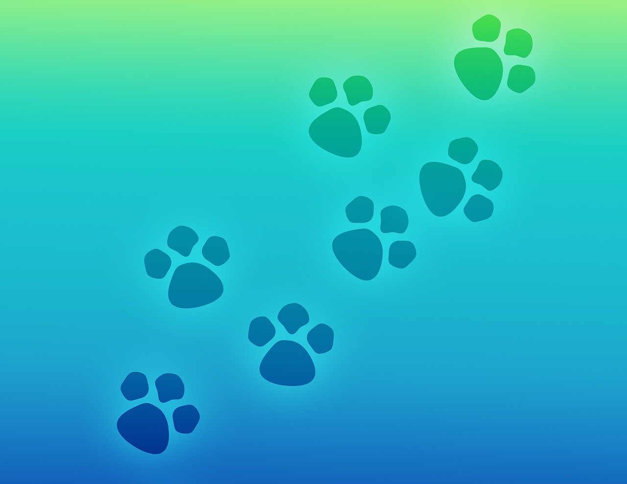 paw print paws prints free photo