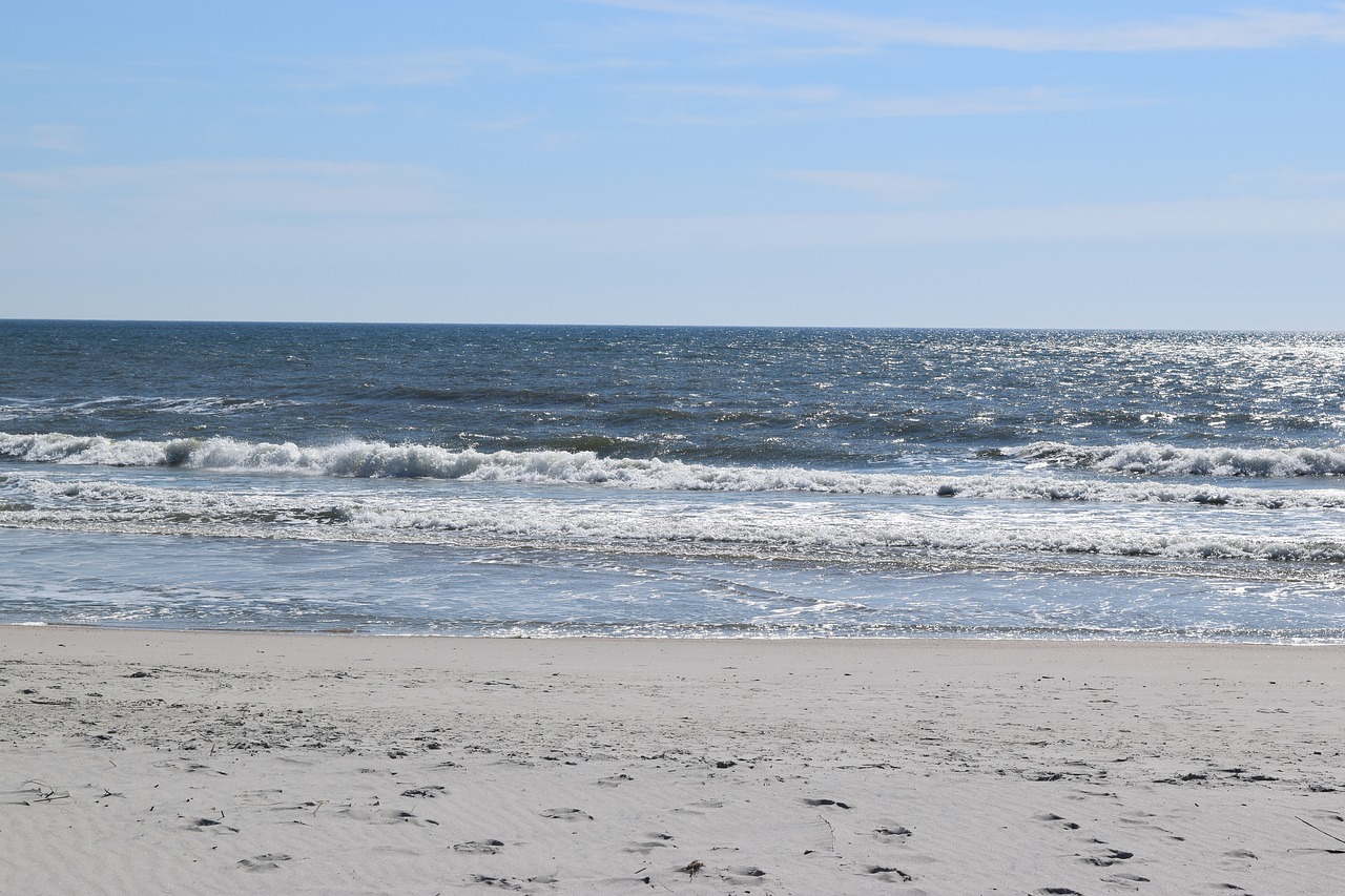 pawley's island  nature  coastal free photo