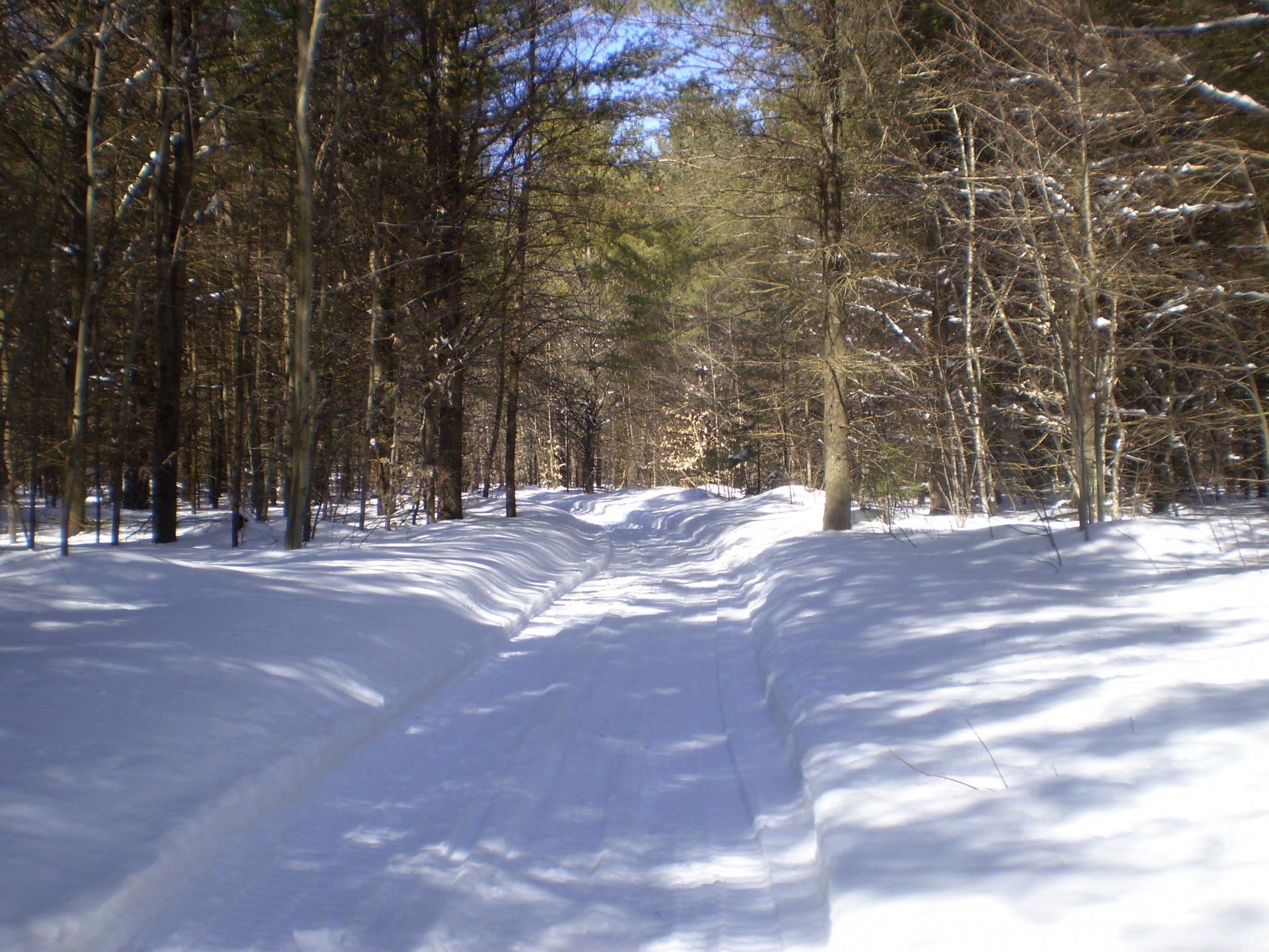 winter landscape season free photo