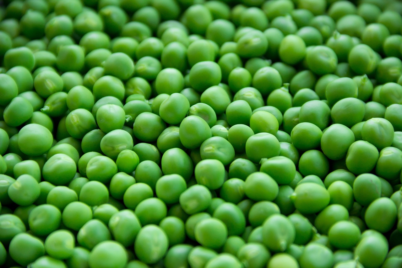 pea peas vegetables free photo