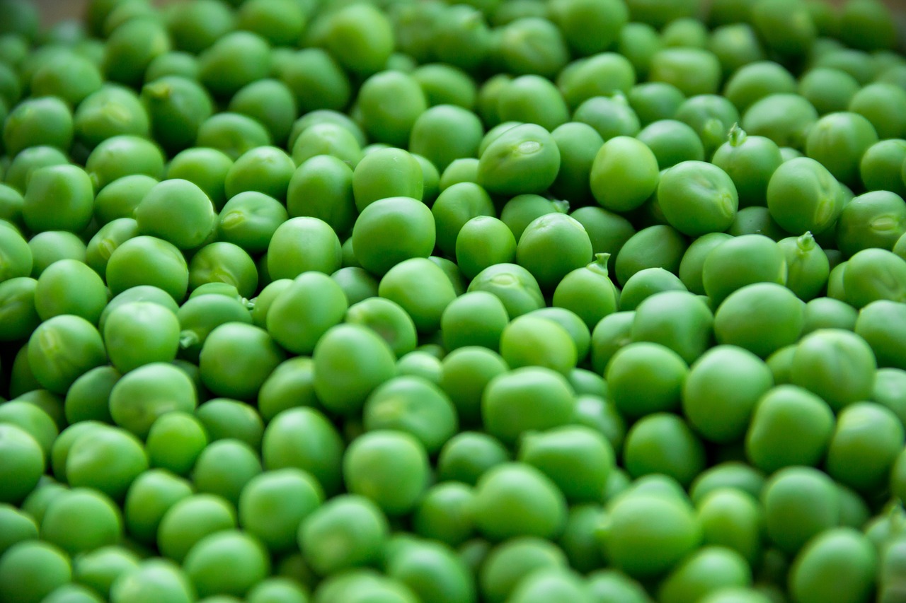 pea peas vegetables free photo