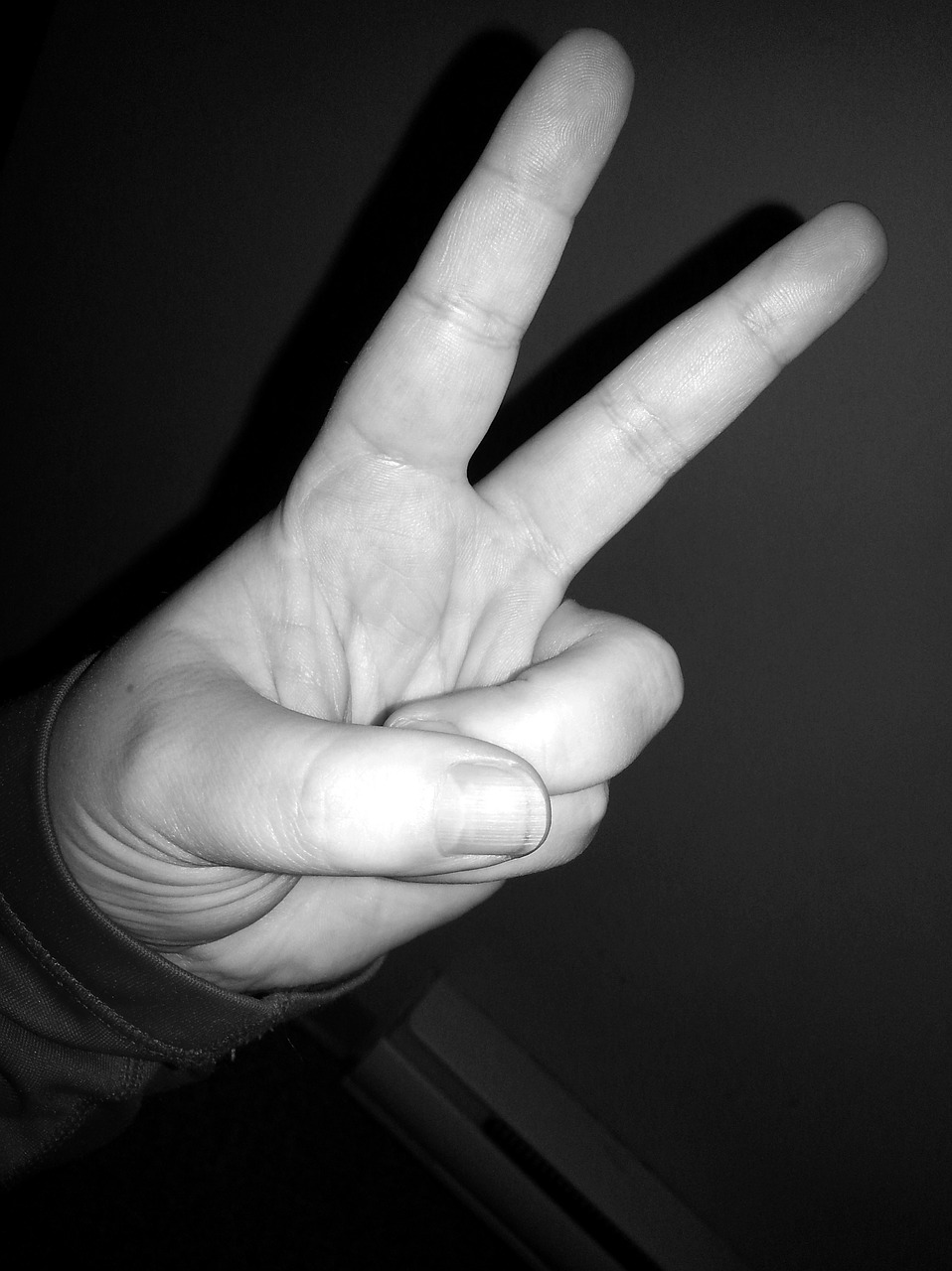 peace finger sign sign language free photo