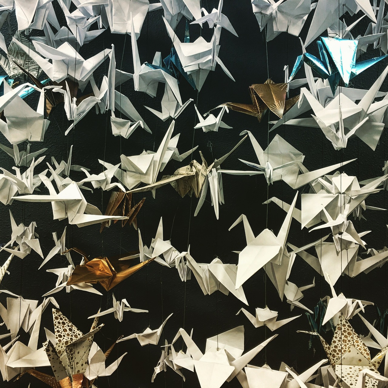 peace cranes origami paper folding free photo