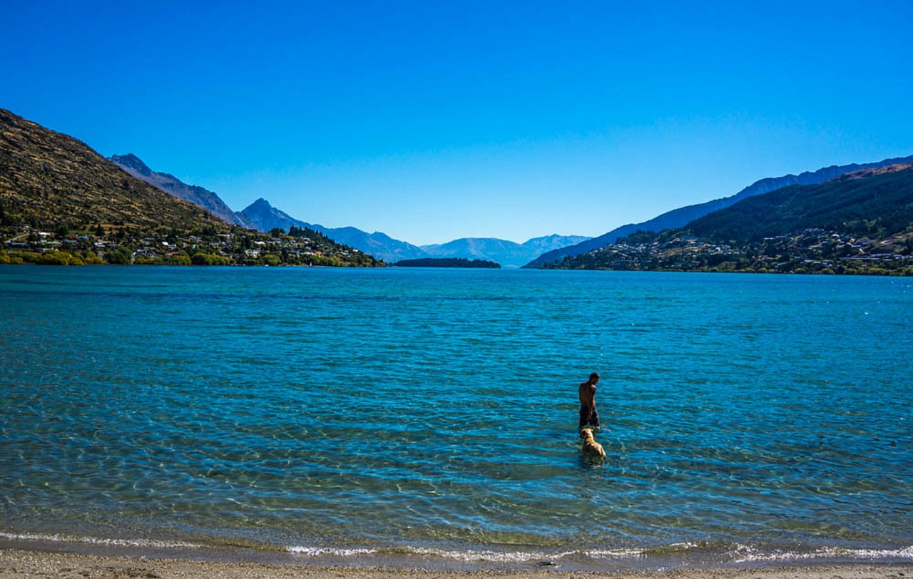 peace park lake wapatiku queenstown free photo