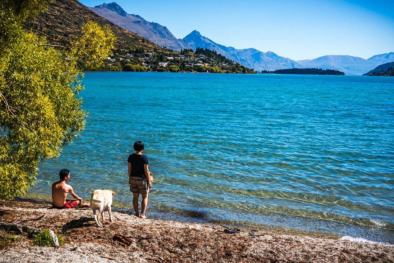 peace park lake wapatiku queenstown free photo