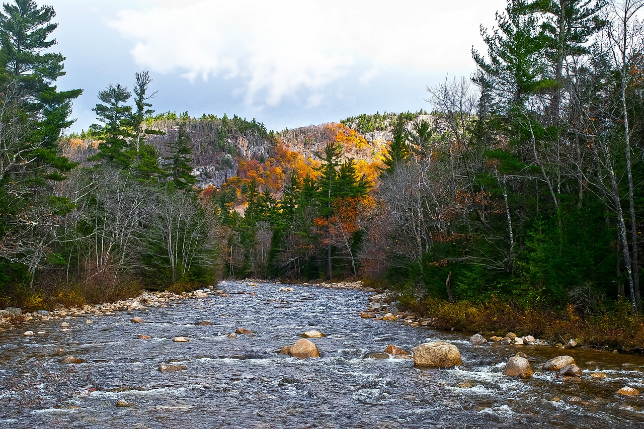 peaceful fall river free photo