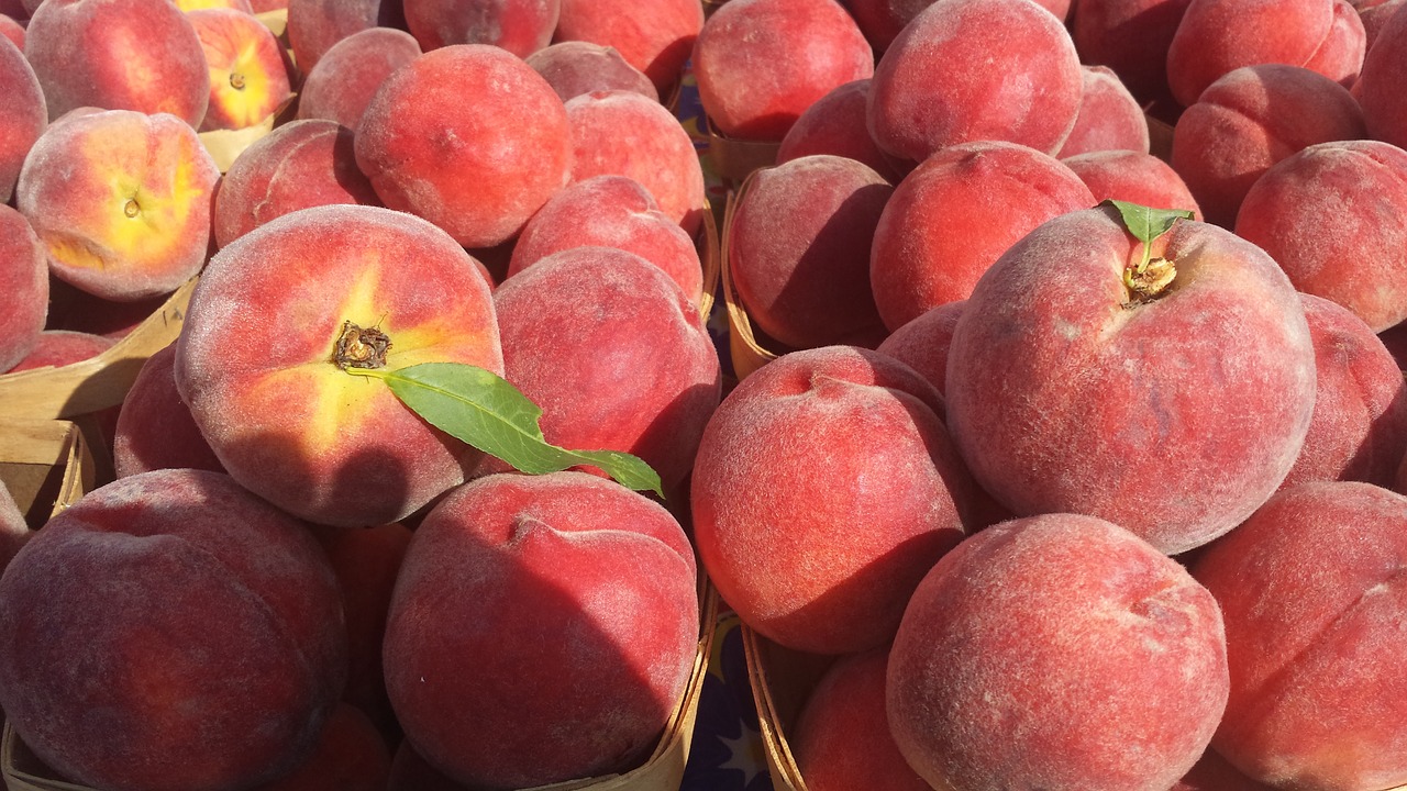 peach peaches fruit free photo