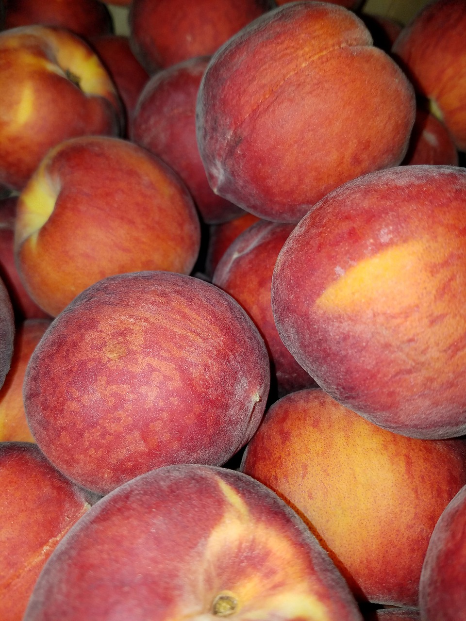 peach peaches fruit free photo