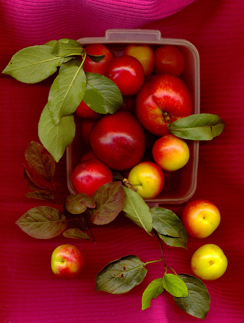 peach plum fruit free photo