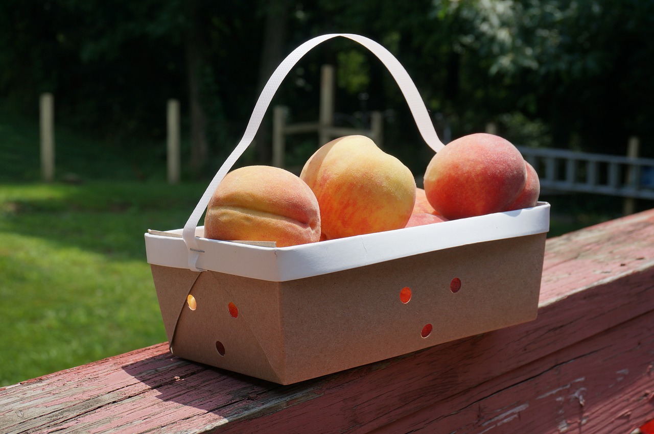 peach fruit basket free photo