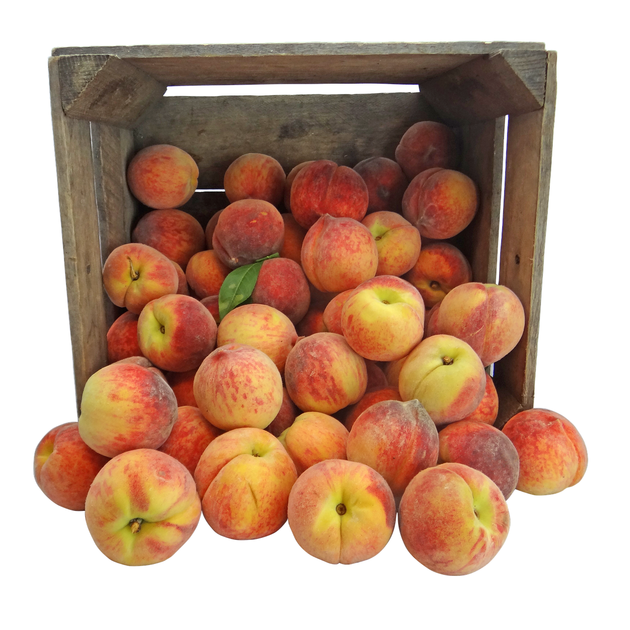 peach peaches pennsylvania free photo