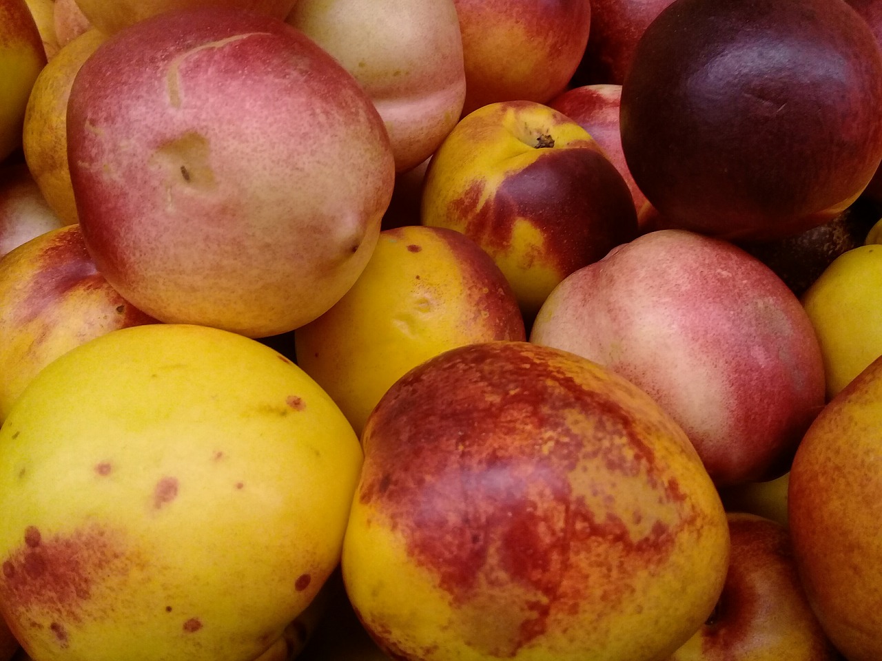 peach fruit food free photo