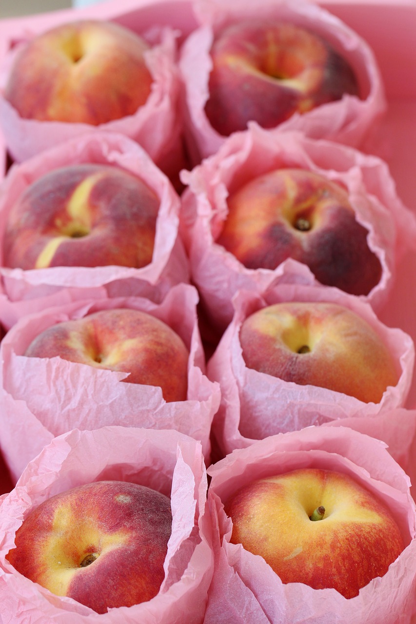 peach  nectarine  fruit free photo