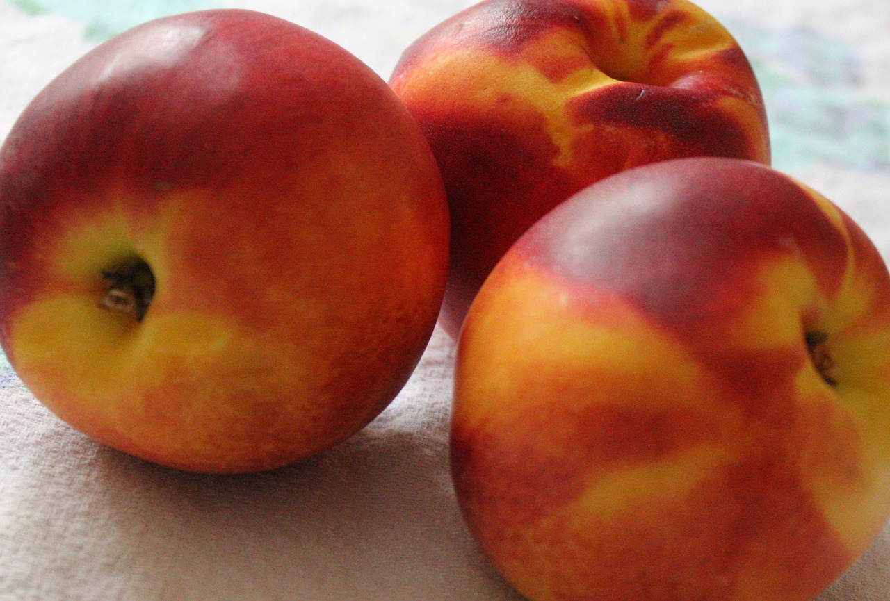 peach  fruit  vitamins free photo