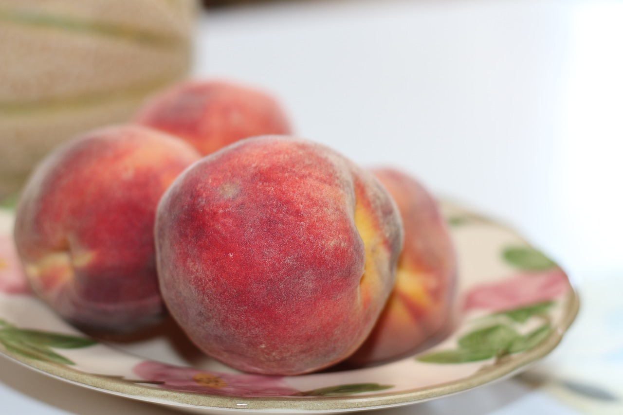 peach  fruit  organic free photo