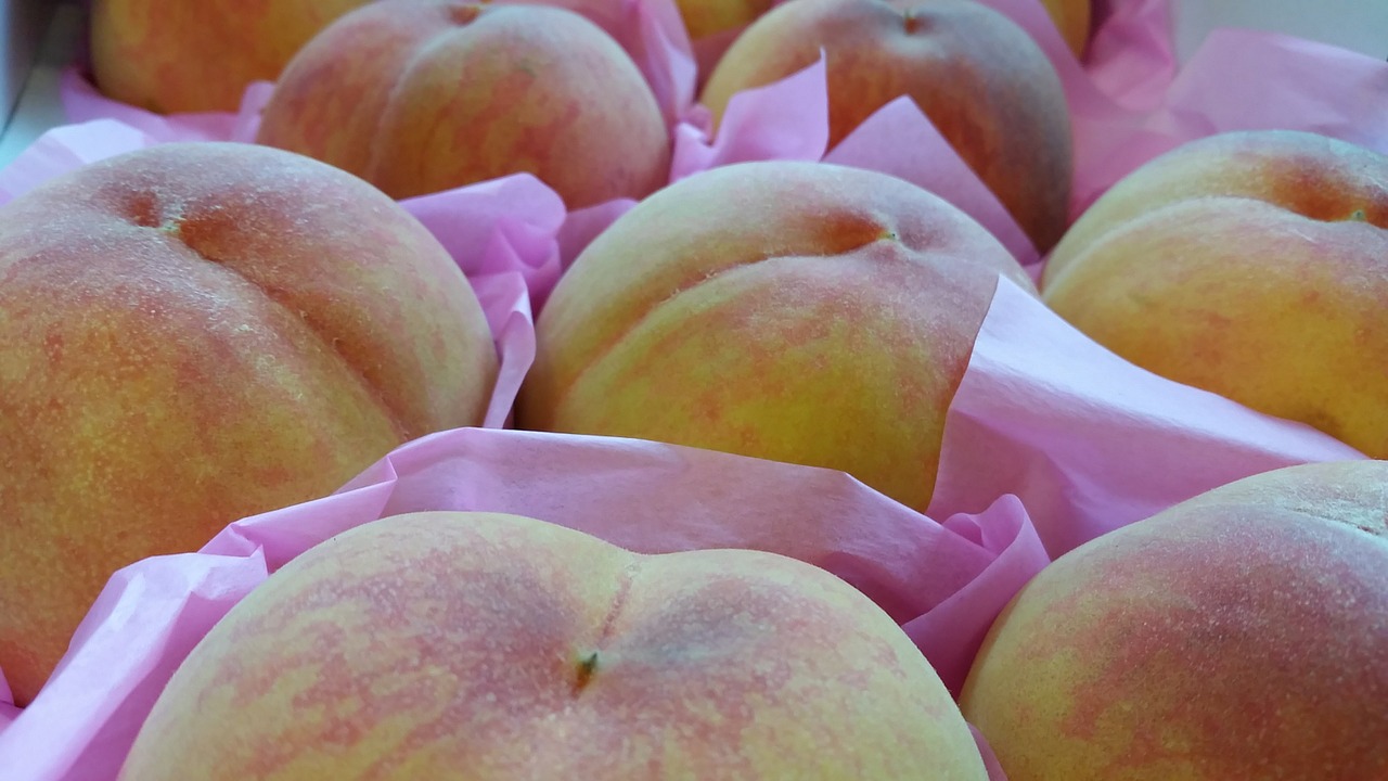 peach the ecliptic fruit free photo