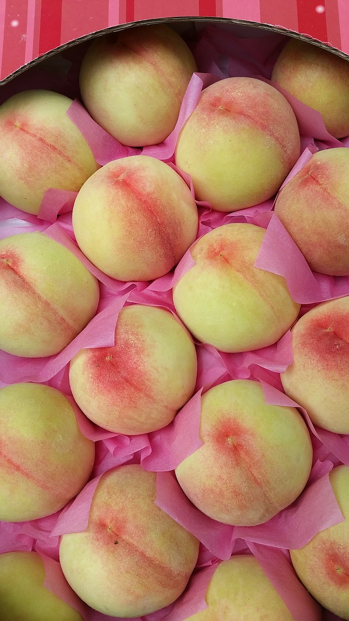 peach the ecliptic fruit free photo
