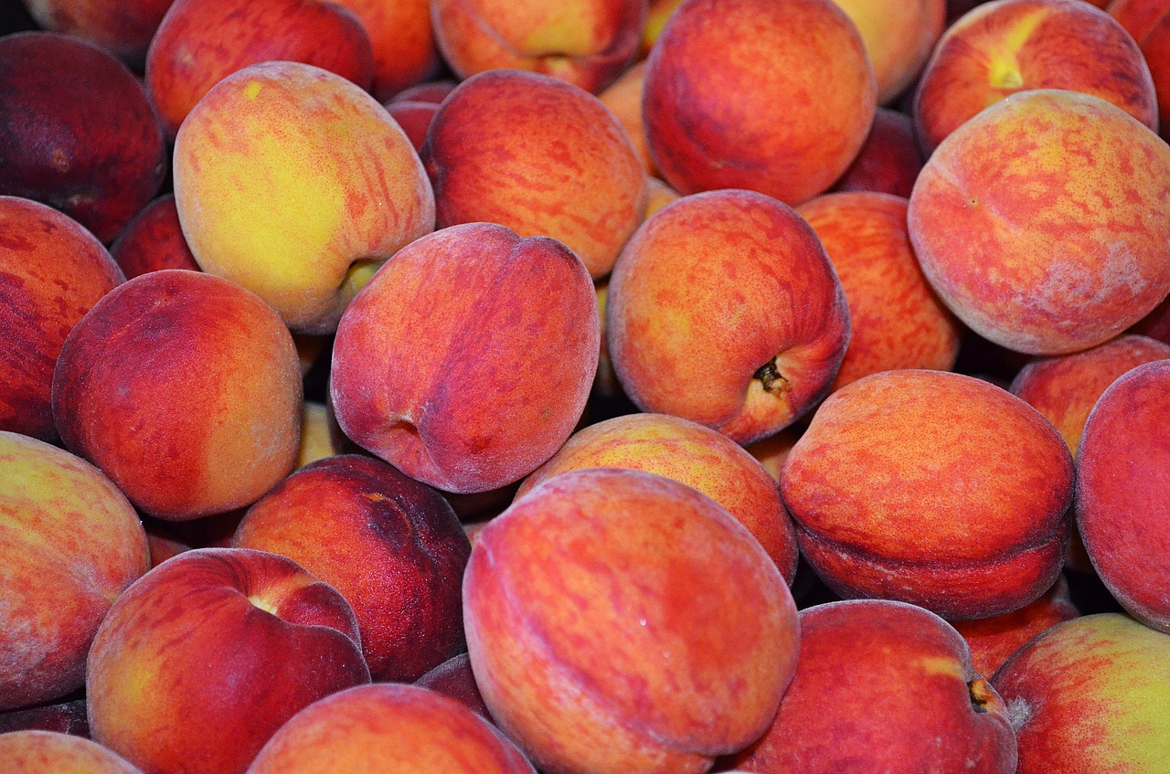 peach fruit eating free photo