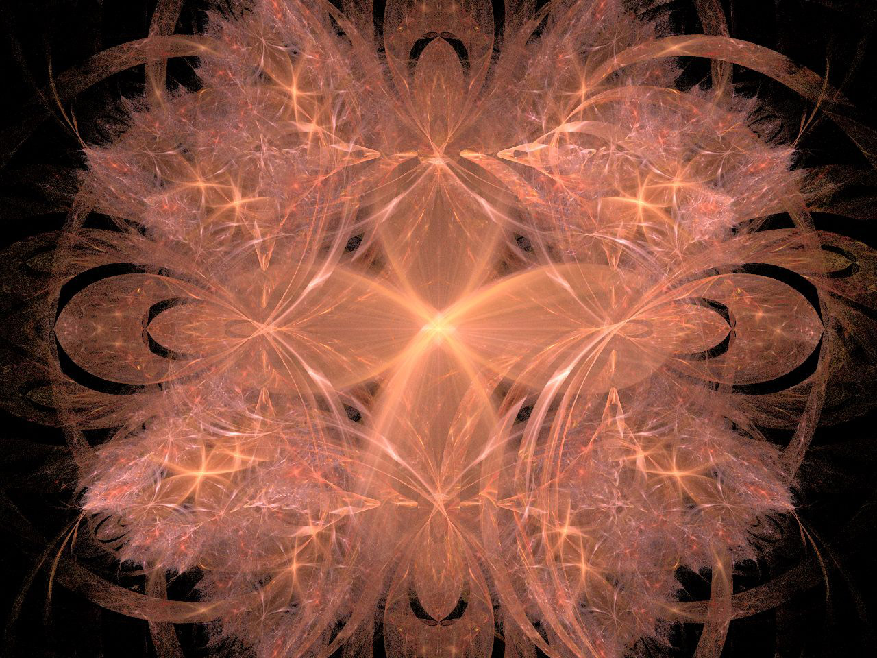 peach fractal orange free photo
