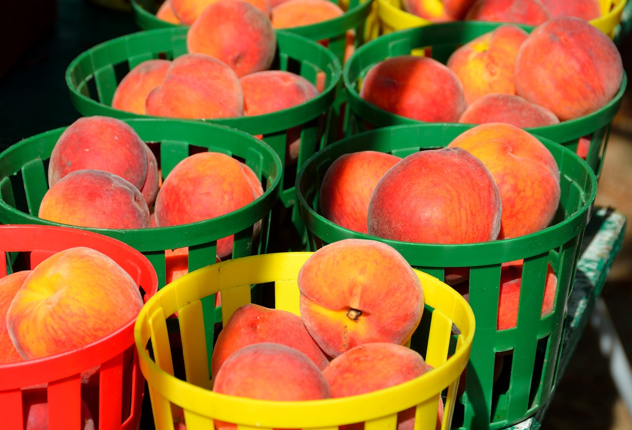 peaches fruit for sale free photo