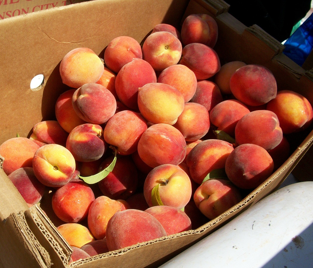 peaches market organic free photo