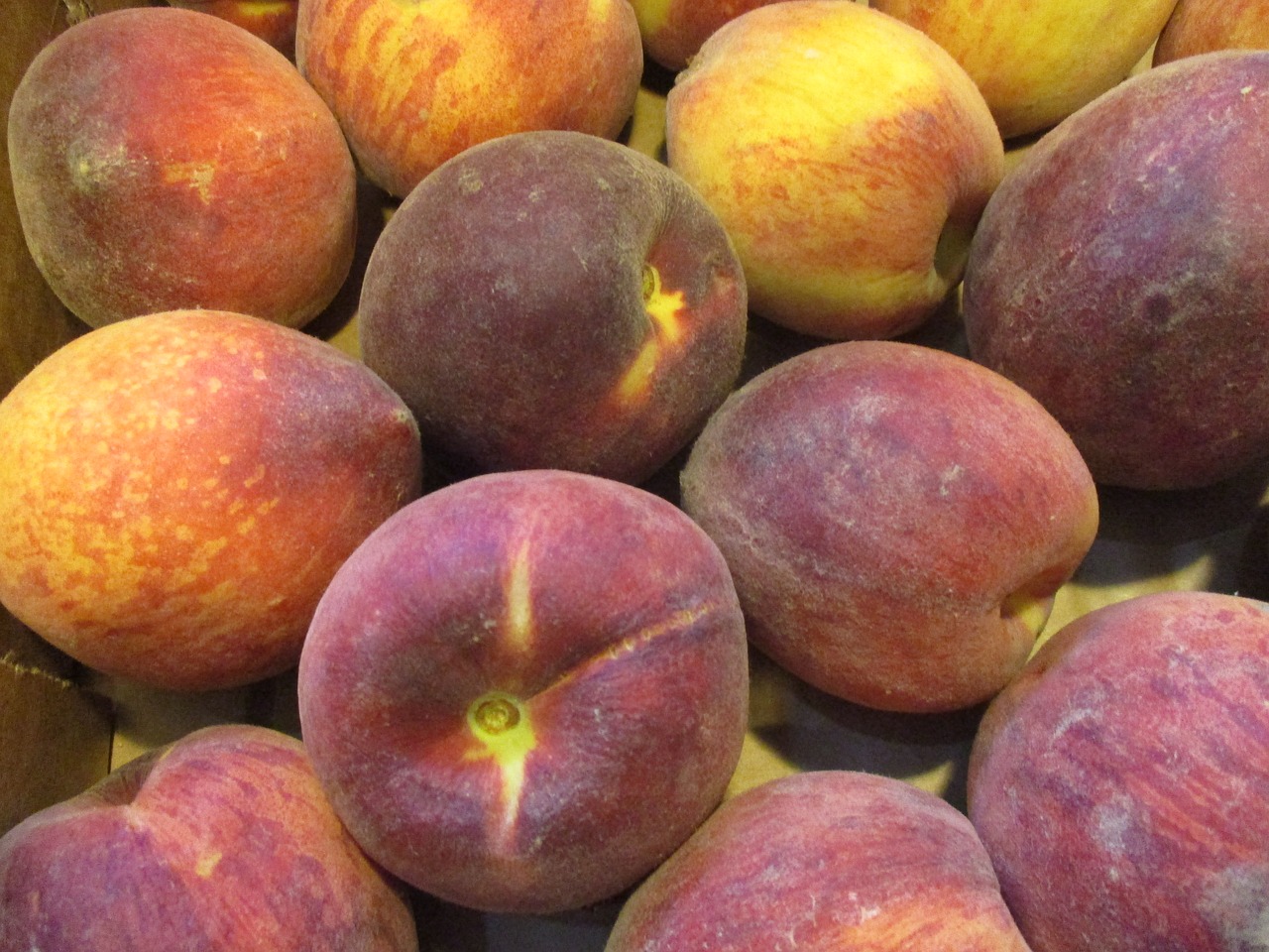 peaches fruit summer fruit free photo