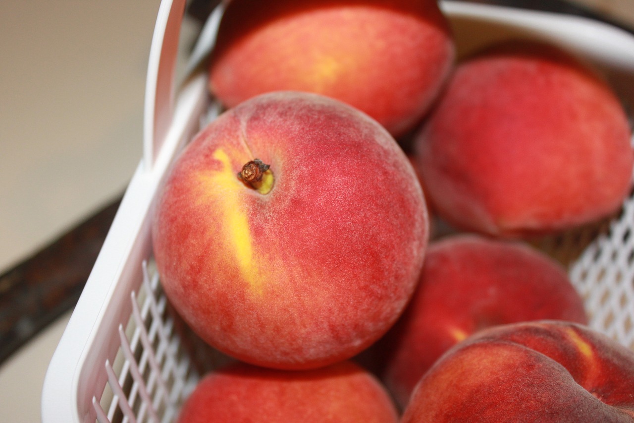 peaches fruit farmers market free photo