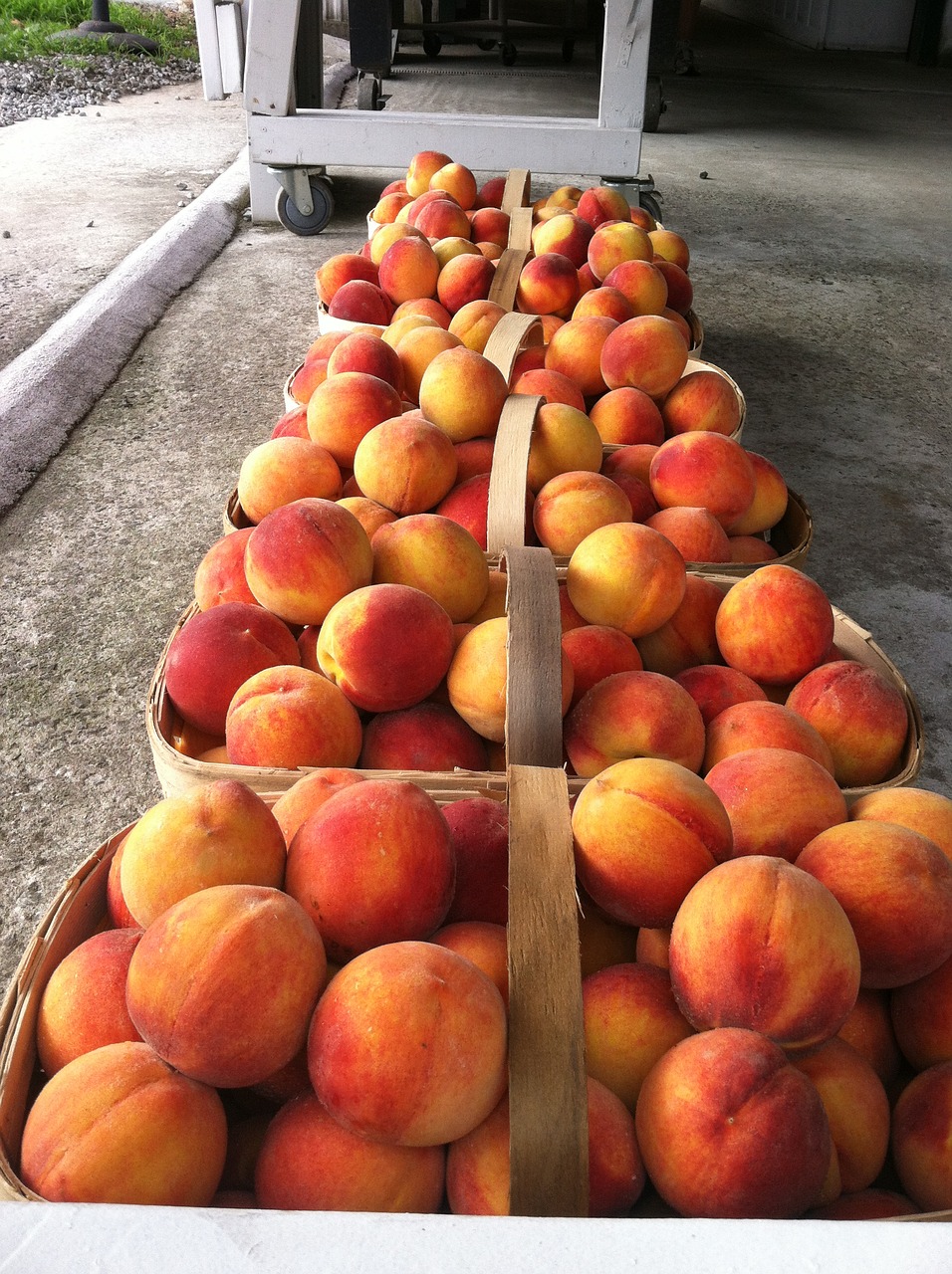 peaches curb market fruit free photo