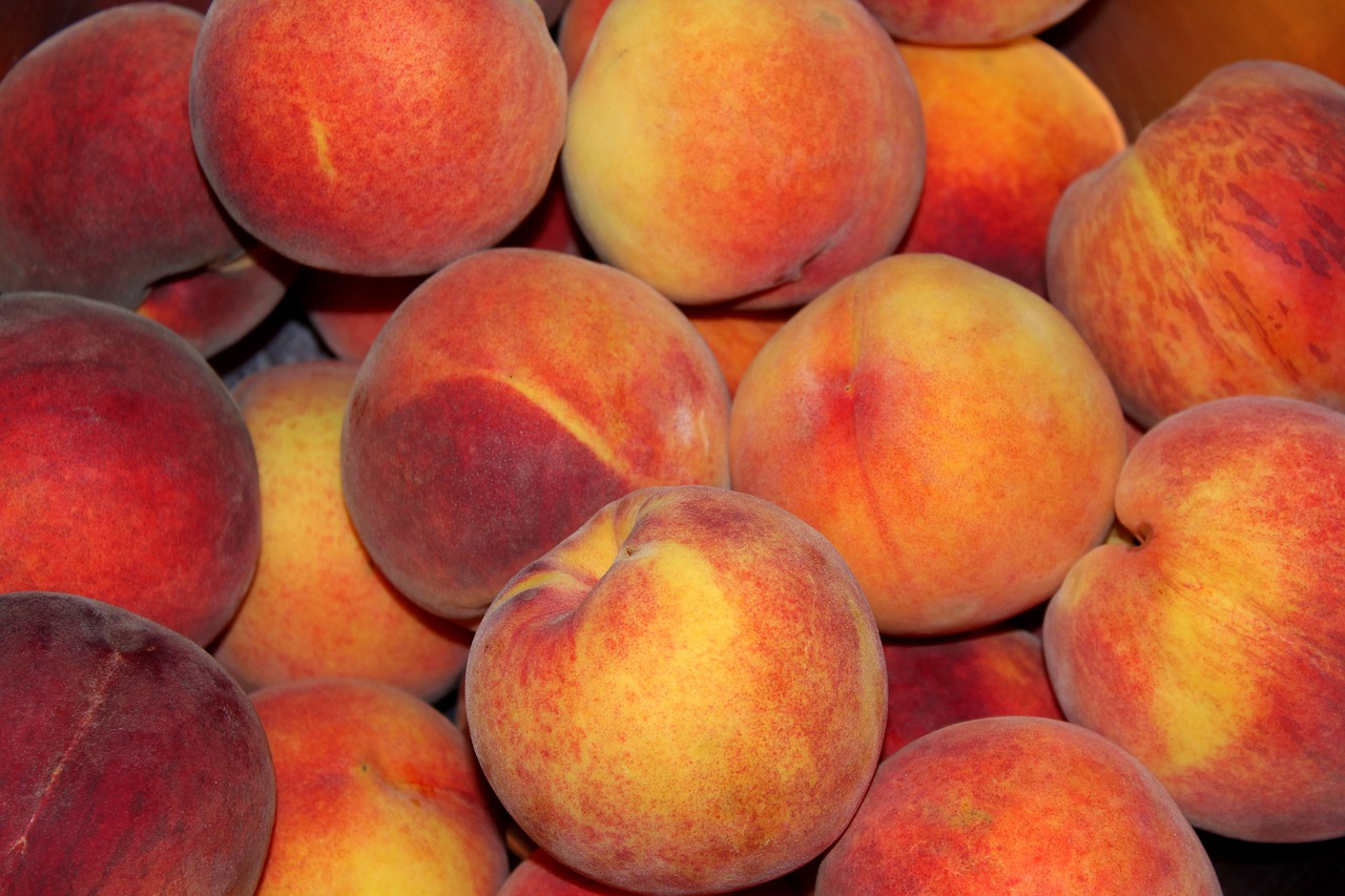 peaches  fruit  mature free photo